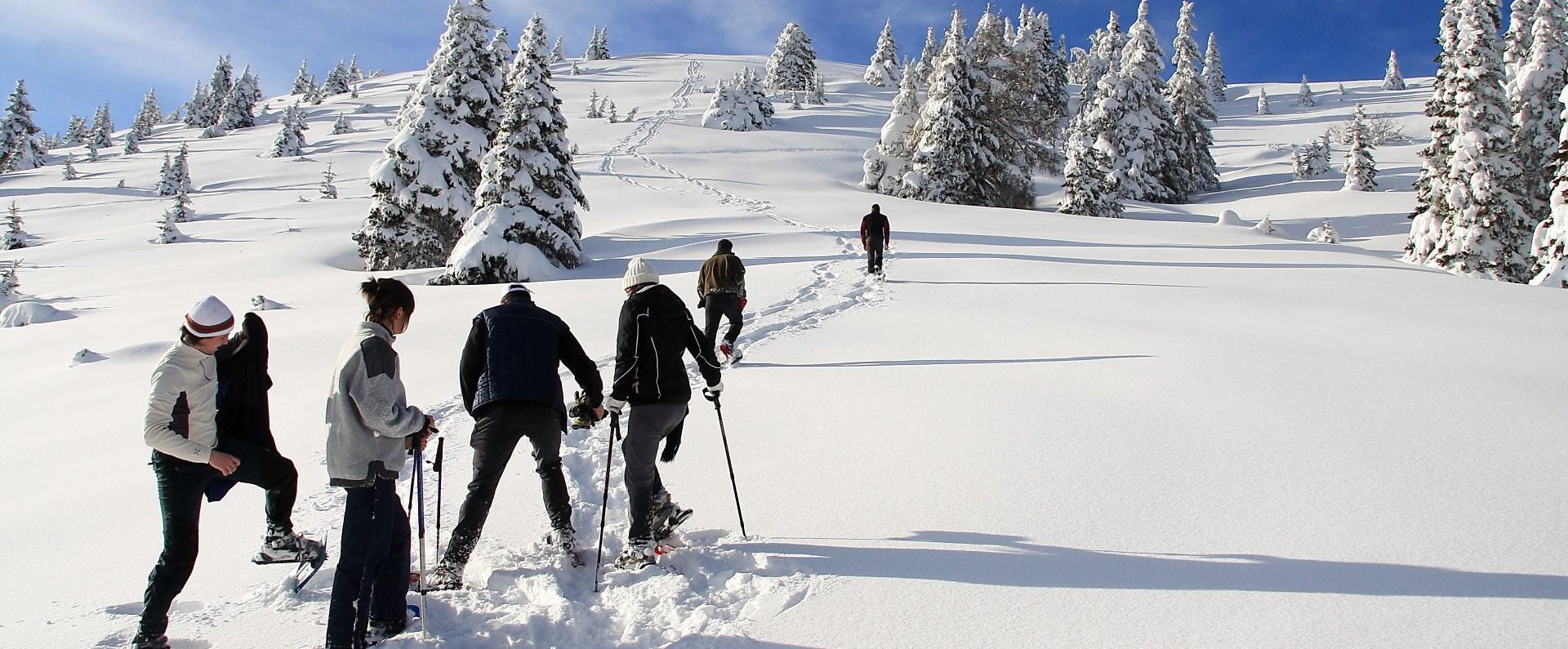 Snowshoewalking in Valle di Ledro